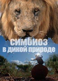 Симбиоз в дикой природе